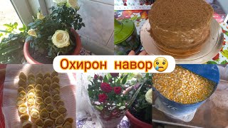 ОХИРОН ВИДИЁ😢РЕЦЕПТИ ТОРТИ МЕДОВИЙ😋