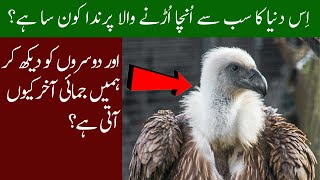 Highest Flying Bird In The World And Most Amazing Scientific Random Facts in Hindi/Urdu