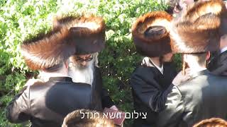 Viznitz Kiamesha Rebbe Seen At Chupa - 21 Sivan 5781