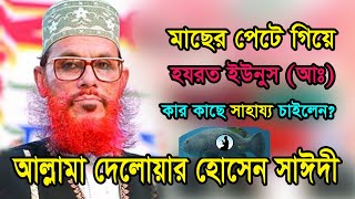 মাছের পেটে গিয়ে হযরত ইউনুস (আঃ) কার কাছে সাহােয্য চাইলেন? আল্লামা দেলোয়ার হোসেন সাঈদী হুজুর