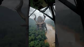 Giant Creature Caught Moving In The Amazon River Epiccreature