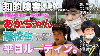 【知的障害・最重度】あかちゃん高校生　平日ルーティン。/特別支援学校　高校1年生/おしゃべりできません。