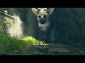 더 라스트 가디언 1화 the last guardian ps4 홍방장