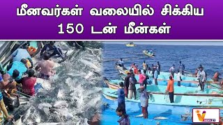 மீனவர்கள் வலையில் சிக்கிய 150 டன் மீன்கள் | Cuddalore | | Fisherman | | Caught | | Fish Nets |