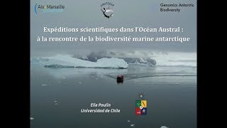 A la rencontre de la biodiversité marine antarctique