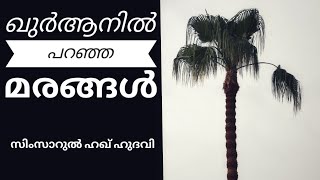 ഖുർആനിൽ പറഞ്ഞ മരങ്ങൾ!#സിംസാറുൽഹഖ്ഹുദവി#ഖുർആൻ#islamicspeeches#quranstudies