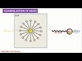 soaps and detergents chemistry class 10 carbon and its compound micelle formation