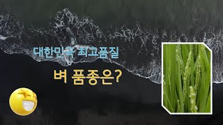 [벼] 대한민국 최고 품질의 벼 품종 21종