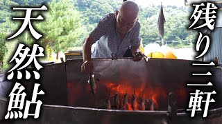 残り三軒となった簗小屋「綾戸簗」で究極の鮎料理に舌鼓を打つ