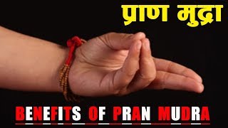 Pran Mudra | प्राण मुद्रा की विधि एवं लाभ जानिए इस विडियो में, Benefits of Pran Mudra