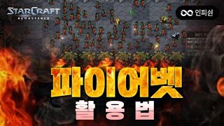 파이어벳 170마리로 제가 무엇을 할거냐면요...