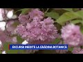 excursii inedite la grădina botanică