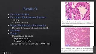 Seminario 36. Manejo quirúrgico de cáncer de pulmón.  Cirugia en ca de pulmon. Dr. Juan Luis Martí