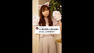 Q：もし猫の世界に人間の法律があったら、どうなりますか？【しょこたんコラボ】#Shorts