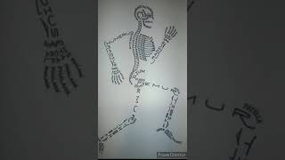 Easy Way to Learn 206 Human bones by name #Shorts #youtube_shorts