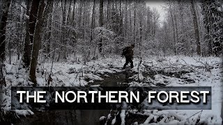 Scouting For Wolf Tracks And A Path To The Northern Forest