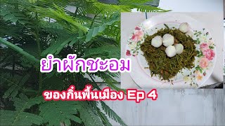 ยำผักชะอม  ของกิ๋นพื้นเมือง EP 4  # Nana and garden