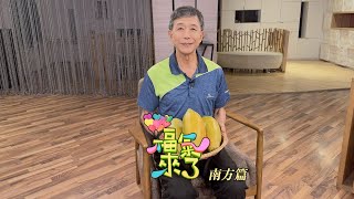 自然務農豐富人生 X 張振忠｜南方影響力｜《福氣來了-南方篇7》EP76