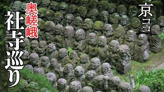 【京都おすすめ】奥嵯峨の社寺を巡る【京のココ見といやす】【京都観光旅行】