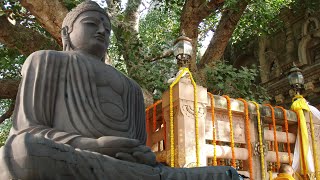 BODHGAYA 🇮🇳 INDIA || OM MANI PADME HUM || Buddhist Chanting Ceremony || TIBETAN Mantra