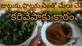 కరివేపాకుకారం#curryleafchillipowder#bestchillipowderforbreakfasts#healthyandtasty