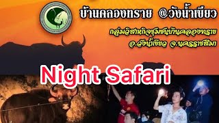 Night Safari บ้านกระทิง วังน้ำเขียว korat