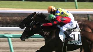 2023 01 08 中山競馬場第6レース　新馬戦　ラスブリサス・レッドアーバイン・リュクススティール他