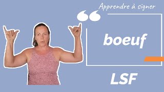 Signer BŒUF (boeuf) en LSF (langue des signes française). Apprendre la LSF par configuration