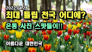 2022.04.28 I 5월 추천 여행지 I 안면도 세계 튤립 축제 I 꽃지 해수욕장 I 주말 가볼만한 곳 I 5월9일까지