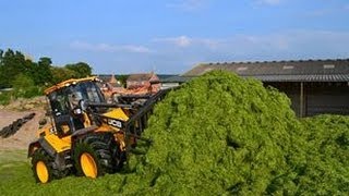 Silage 2013. JCB 434 On The Pit