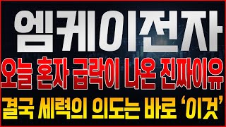 [엠케이전자 주가전망] 오늘 아침 VI발동 급등 이후 하락만 나온 진짜 이유는 바로 '이것'때문이다!? 결국 세력의 의도를 알아야 큰 수익을 가져갈 수 있다고?