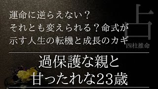 過保護に育てましたがこの子は仕事に就けますか？