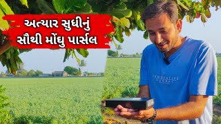 અત્યાર સુધીનું સૌથી મોંઘુ પાર્સલ | Village life vlog #technology