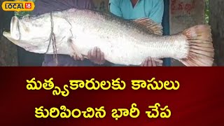 Kakinada : మత్స్యాకారులకు కాసులు కురిపించిన భారీ చేప | #local18