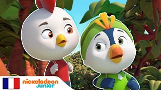 Top Wing | L'aventure de Rod et Brody dans la jungle | Nick Jr.