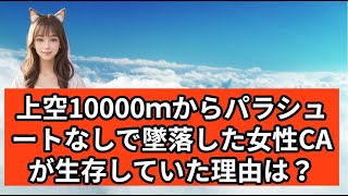 【毎日更新・ねこるんの雑学教室】その180　明日だれかに話したくなる雑学をご紹介。「理由を説明せよ！」という問題が中心です。＃雑学　#理由を述べよ 　#客室乗務員　#上空10000m　#落下　#生存