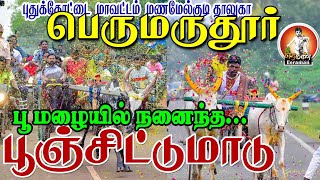 Live🔴|பூஞ்சிட்டு மாடு பெருமருதூர் | 23-05-2023|Eeraman