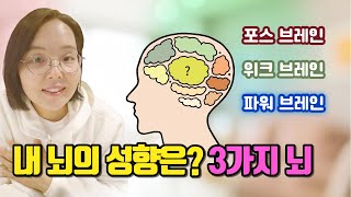 내 뇌의 성향은? 3가지 뇌 ｜ 초간단 뇌 성향테스트