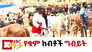 NBC Ethiopia | በሬ ከ55 ሺ ብር ጀምሮ እስከ 120 ሺ ብር እየተሸጠ ነው በአዲስ አበባ በNBC ማታ