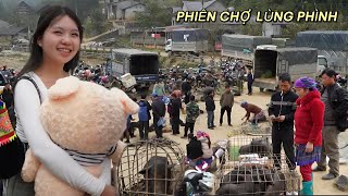 CHỢ PHIÊN LÙNG PHÌNH - Ẩm thực nhiều món ngon khó cưỡng, lợn bản gà đen bán la liệt |Quốc Kỳ TV