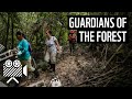 Meet the Guardians of the Forest | WWF