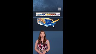 Snow in the Sunshine State: Why It Wasn’t Snowball-Worthy
