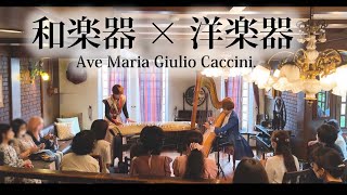 【和クラシック】アヴェマリア / カッチーニ (Ave Maria,Giulio Caccini.)〔和楽器 箏とハープによる共演〕