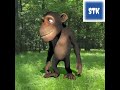 Monkey dance funny video | funny video Dance monkey | #stk #shorts