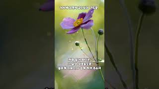 104세 김형석 교수님의 기도문