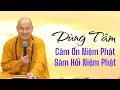 Tâm cảm ơn phải thường có niệm Phật mới Vãng Sanh - Thích Nhuận Thịnh