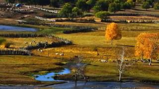 Inner Mongolia in Autumn 霸上金秋 [4K]