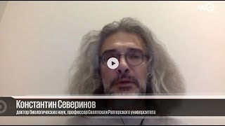 Заразятся новыми штаммами коронавируса все, привитые и не привитые, но не привитых умрет больше.