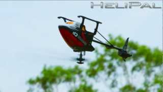 HeliPal.com - Walkera HM Master CP Helicopter Outdoor 3D Flight