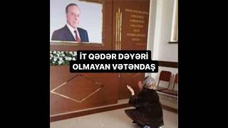 “SOCAR, NEFT, QAZ ÖLKƏSİNDƏ İT QƏDƏR DƏYƏRİ OLMAYAN VƏTƏNDAŞ”